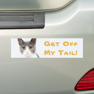 Skräddaraktig Whimsical "Get Off My Svan"-katt Bildekal