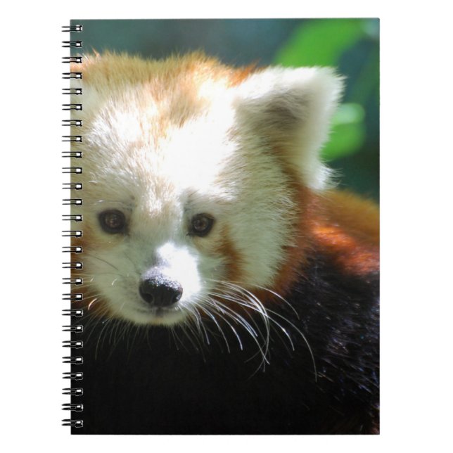 Skräddarsy anteckningsbok - med spiral (Framsidan)