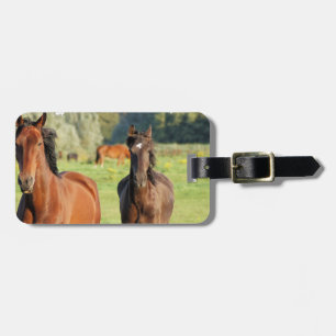 Skräddarsy bagagemärkre - bagagebricka