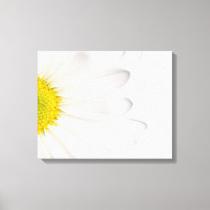 Skräddarsy daisy för vitdaisyblomma bakgrund canvastryck