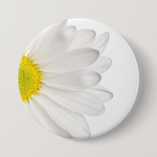 Skräddarsy daisy för vitdaisyblomma bakgrund knapp