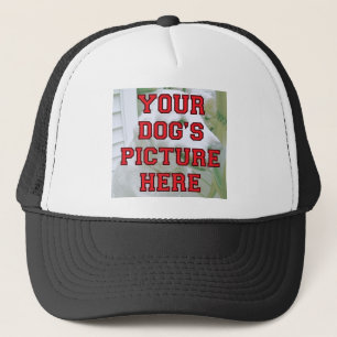 Skräddarsy din hund foto keps