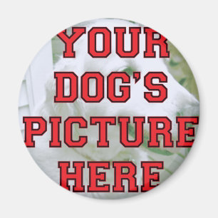 Skräddarsy din hund foto magnet