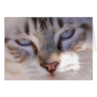 Skräddarsy ditt egna älsklings- kort