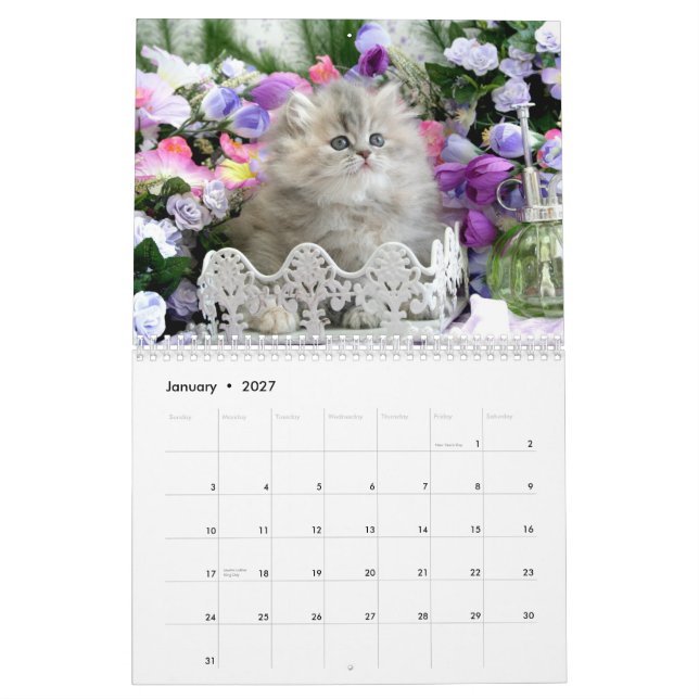Skräddarsy ett slags tvåsittssoffakattungekalender kalender (Jan 2027)