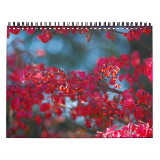 Skräddarsy fotokalender 2007 - kalender
