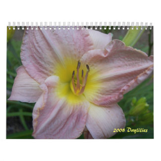 Skräddarsy kalender för 2008 Daylilies -