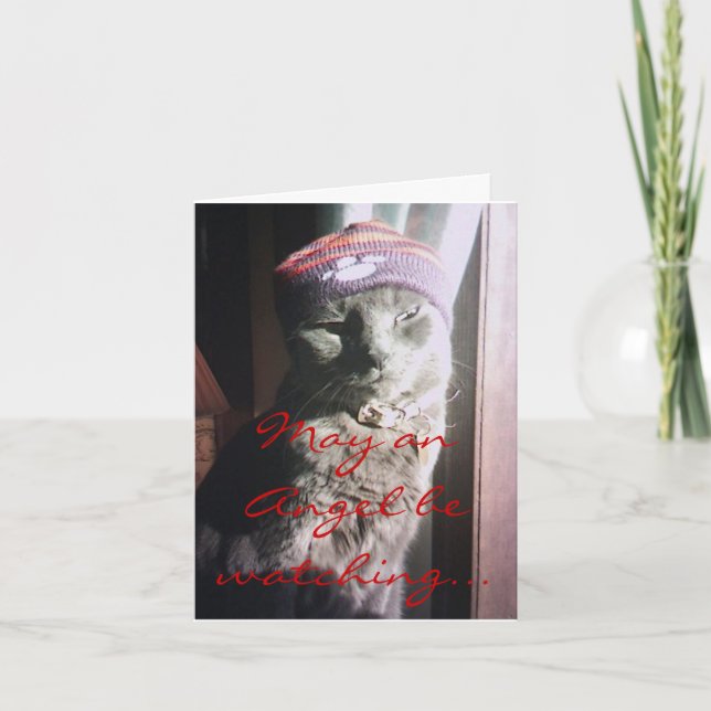 Skräddarsy kattungejul - - som skräddarsy helgkort (Framsida)