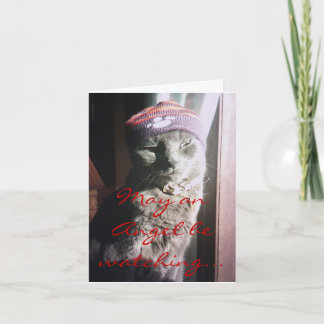 Skräddarsy kattungejul - - som skräddarsy helgkort