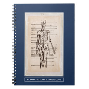 Skräddarsy människaanatomi & Physiology Anteckningsbok