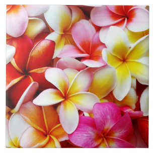 Skräddarsy PlumeriaFrangipaniHawaii blomma Kakelplatta