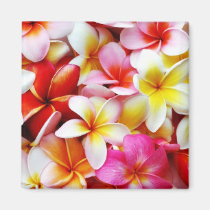Skräddarsy PlumeriaFrangipaniHawaii blomma Magnet