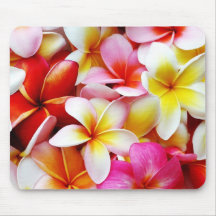 Skräddarsy PlumeriaFrangipaniHawaii blomma
