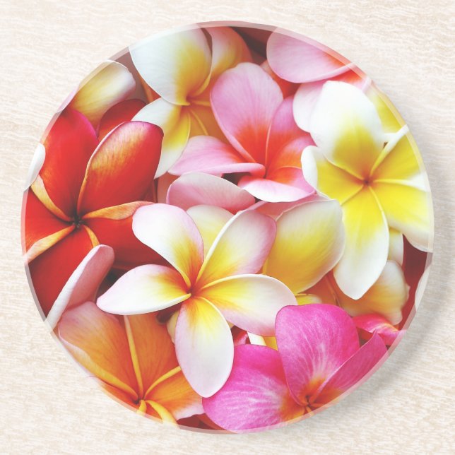 Skräddarsy PlumeriaFrangipaniHawaii blomma Underlägg (Framsidan)