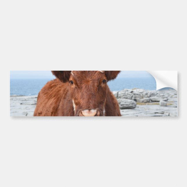 Skräddarsy produkten bildekal (Framsidan)