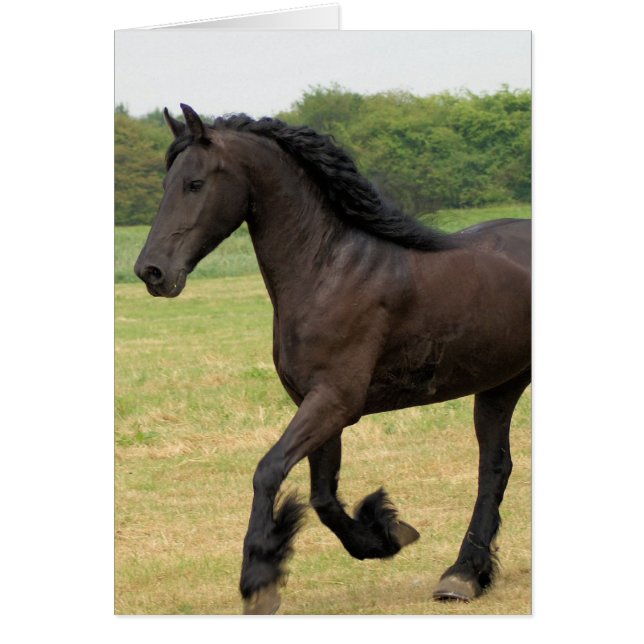 Skräddarsy produkten hälsningskort (Framsidan)