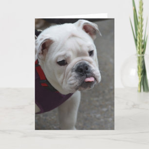 Skräddarsy produkten kort