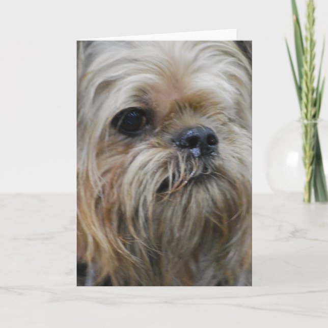 Skräddarsy produkten kort (Framsida)