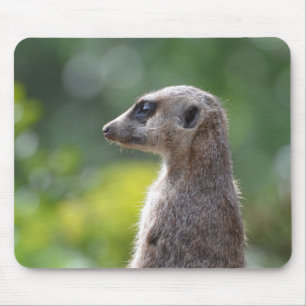 Skräddarsy produkten musmatta