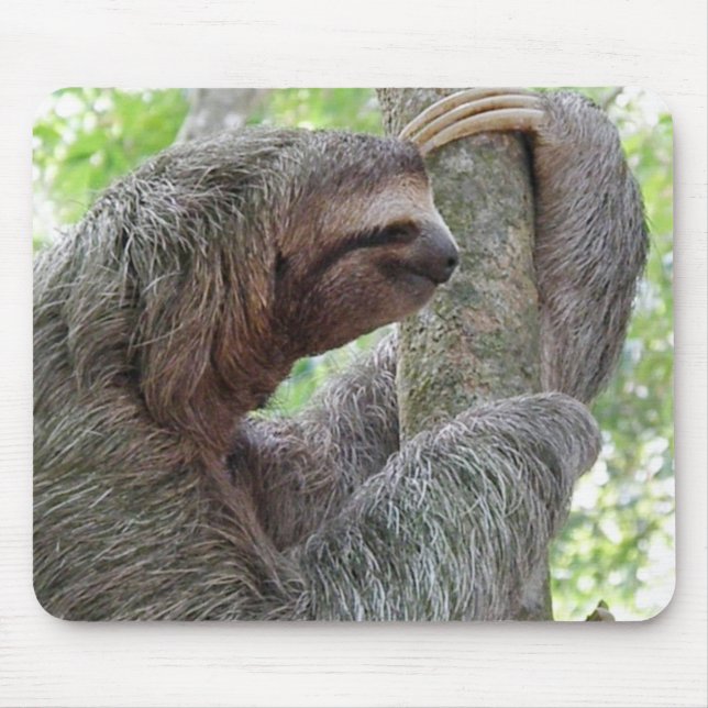 Skräddarsy produkten musmatta (Framsidan)