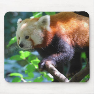 Skräddarsy produkten musmatta