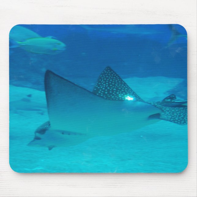 Skräddarsy produkten musmatta (Framsidan)