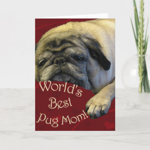 Skräddarsy produkten tack kort