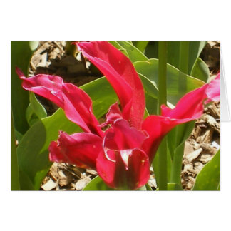 Skräddarsy röd blomma - hälsningskort