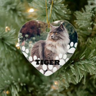 Skräddarsydd keramisk kattfoto-ornament med namn julgransprydnad keramik