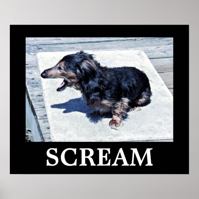 Skräm Poster (Framsidan)