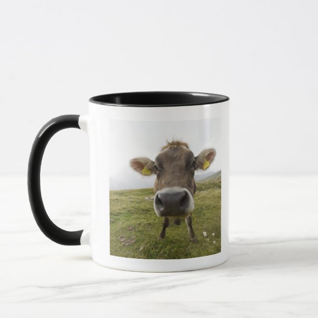 Skrämma nära Tre Cime Di Lavaredo i Misurina, Mugg (Vänster)