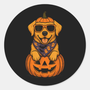 Skrämmande gul Labrador Retriever Pumpa Halloween Runt Klistermärke