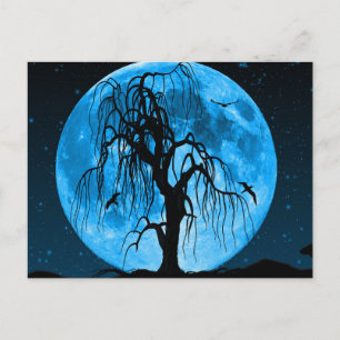 Skrämmande Halloween-kort Vykort