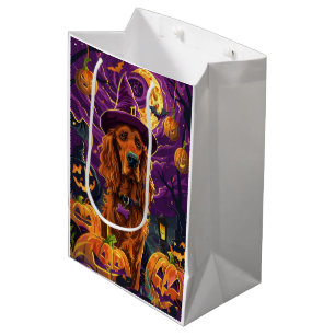 Skrämmande irländsk röd setter Halloween häxa pump
