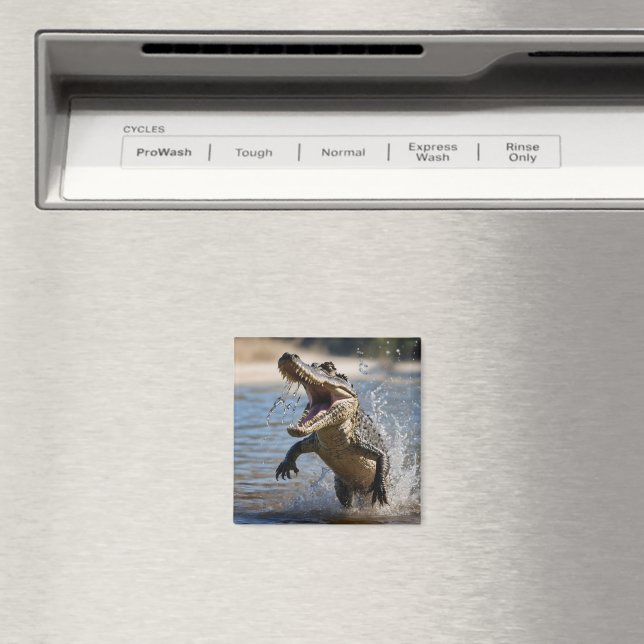 Skrämmande käkar: Australiensisk krokodil hoppar Magnet (In Situ (Dishwasher))