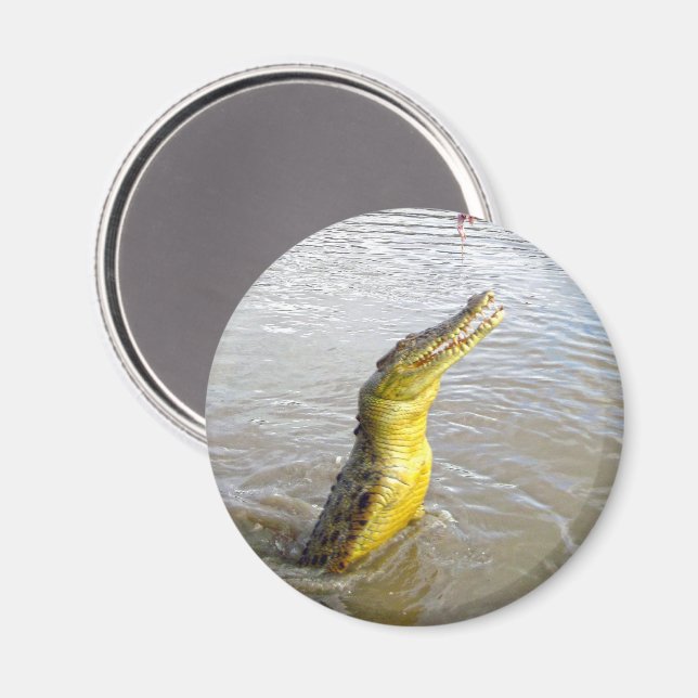 Skrämmande snapsar: Hoppandet av krokodilen, Magnet (Front/Back)