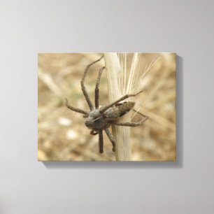 Skrämmande spindeltavla på canvas
