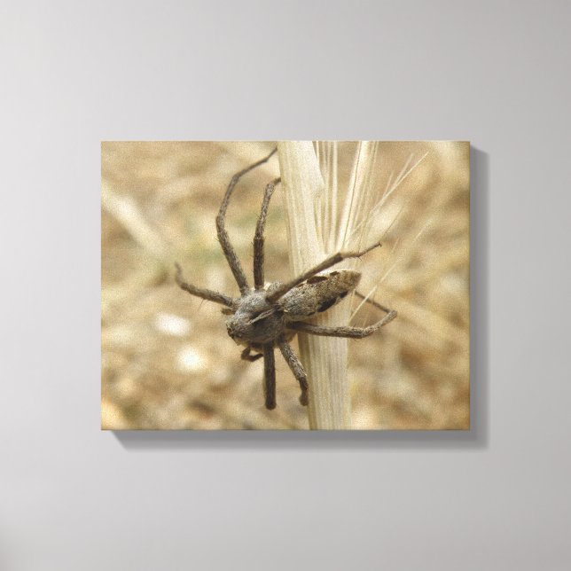 Skrämmande spindeltavla på canvas (Framsida)