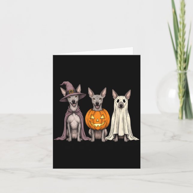 Skrämmande spök Xoloitzcuintli pumpa Halloween Xol Kort (Framsida)