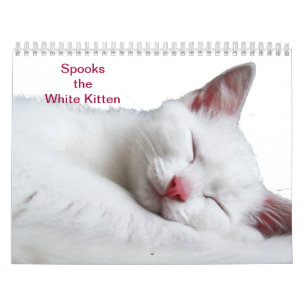 SKRÄMMER VITKATTUNGEN - CALLENDER KALENDER