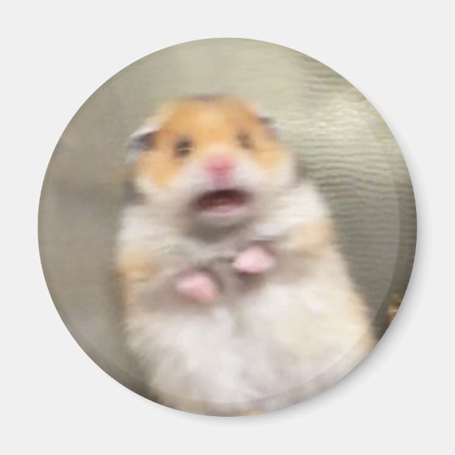 Skrämt Hamster Meme Magnet (Framsidan)