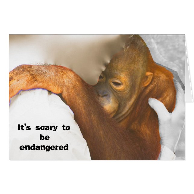 Skrämt hotad Orangutan Hälsningskort (Framsidan Horizontal)