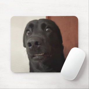 Skrämt Hund-medlemmens musknapp Musmatta