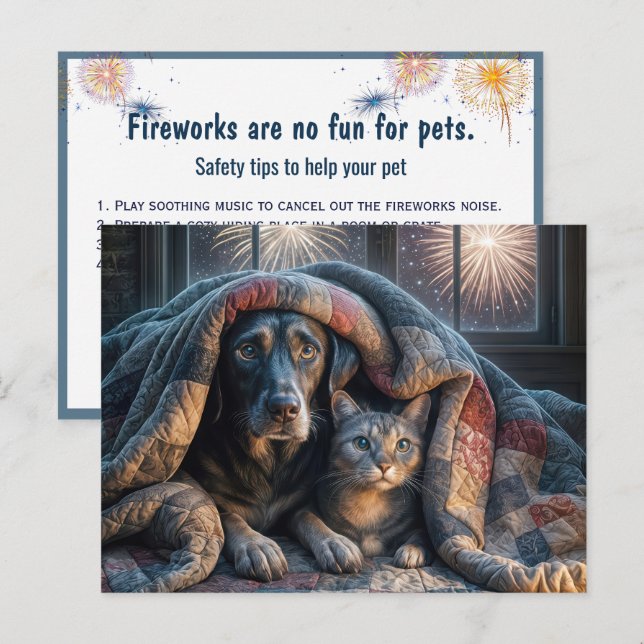 Skrämt Hund- och kattbevakning i Fireworks Vykort (Fram/baksida)
