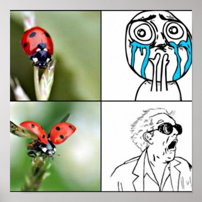 skrämt Poster (Framsidan)