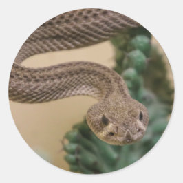 skrångla runt klistermärke