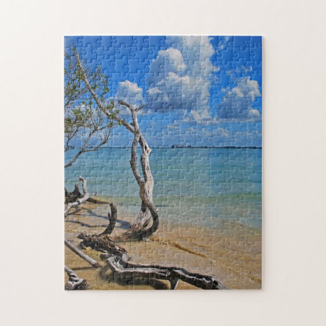 Skräp som förblindar, passerar pussel (Vertikal)