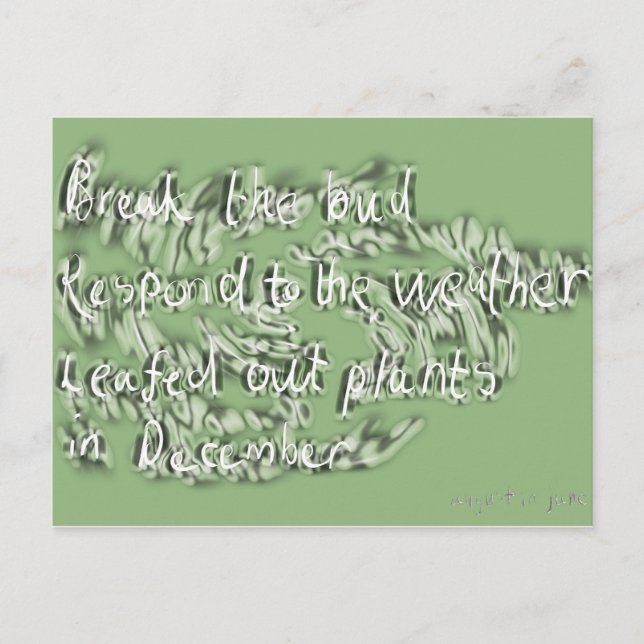 skräp vykort (Framsida)