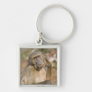 Skrapa för Chacma Baboon som (Papioursinus) är Fyrkantig Silverfärgad Nyckelring