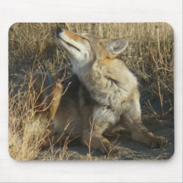 Skrapa för prärievarg R17 Musmatta